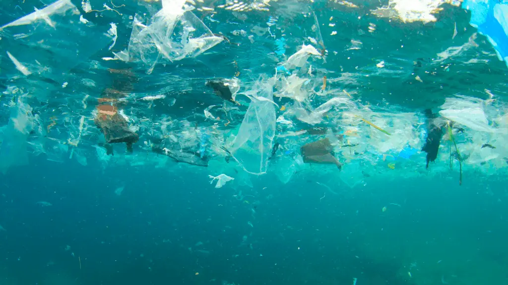 On Image: Plastic pollution in the ocean