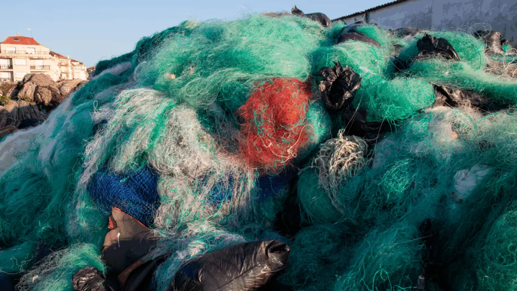 On Image: Ocean plastic